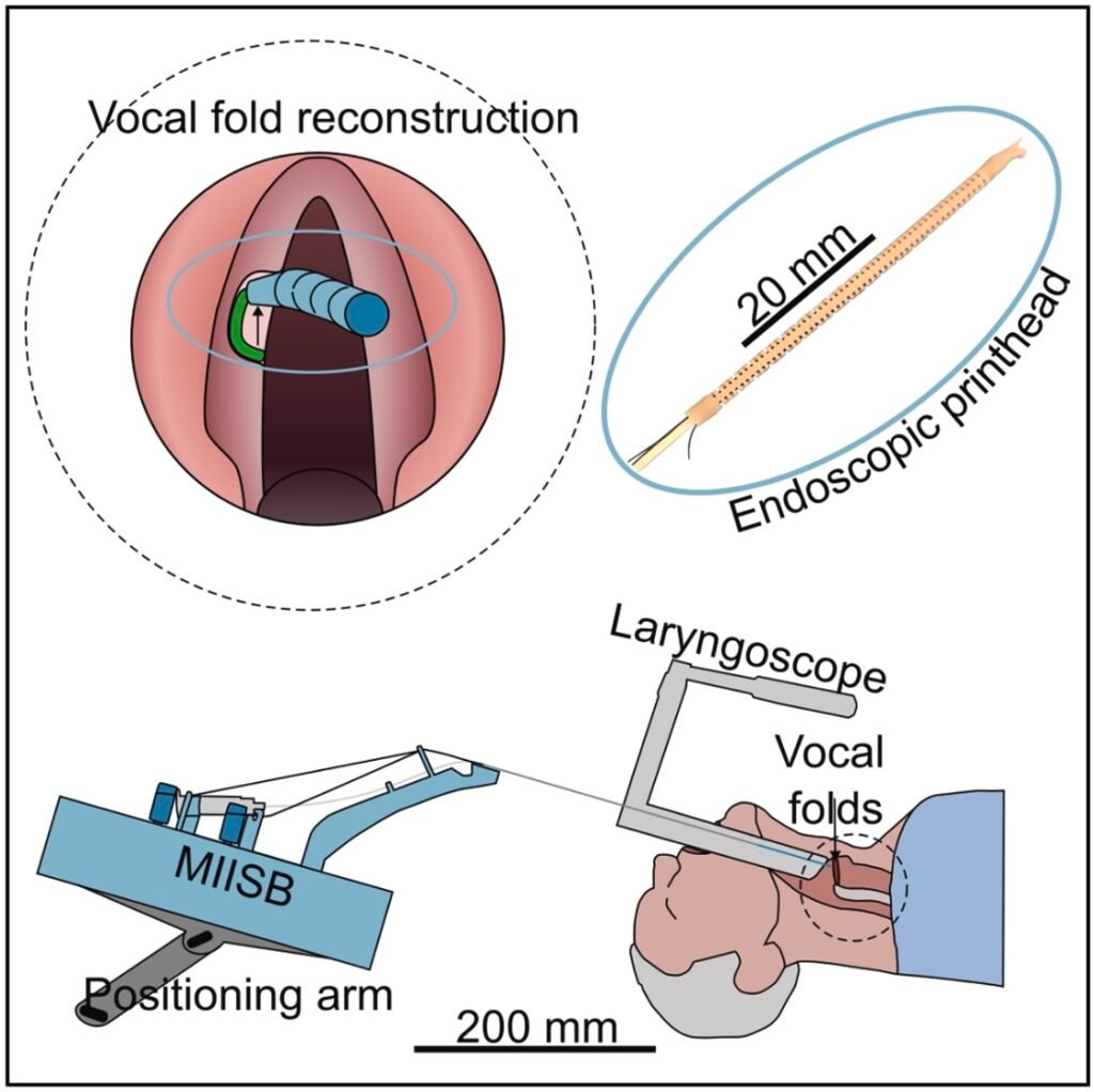 Tiny Bioprinter Could One Day Repair Vocal Cords During Surgery3DPrint.com | Additive Manufacturing Business 2 sljdlk UKum6C
