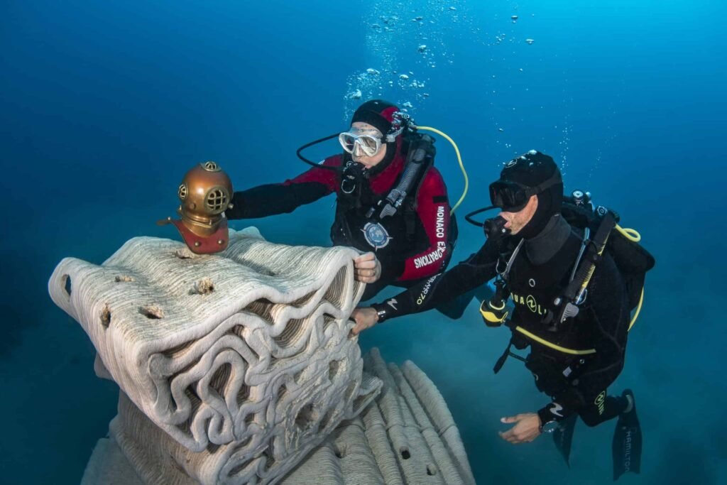 tree Artificial reef for prince Albert II 20481366 1024x683 2RpGaJ