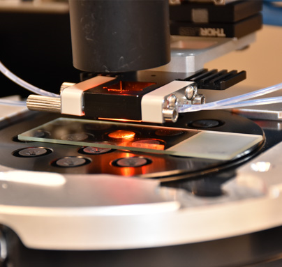 Precise Bio bioprinting nNQF2e
