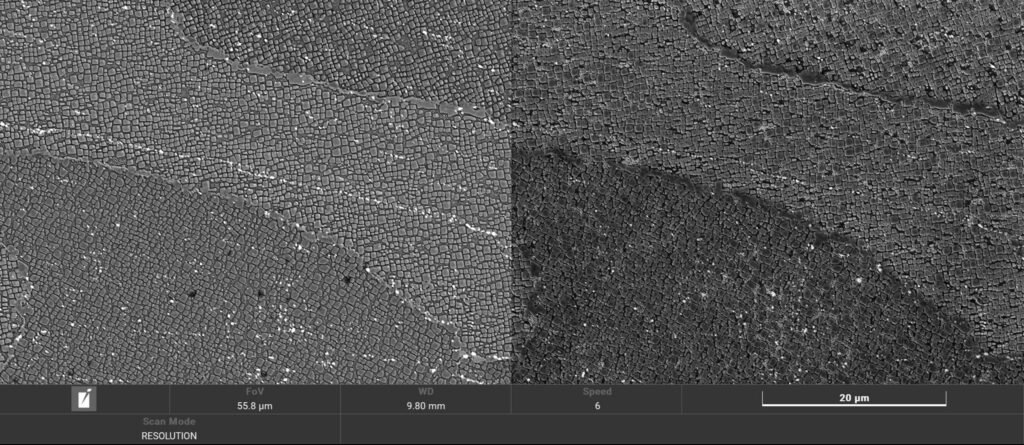 Microstructure ABD10005 scaled sNwR8a
