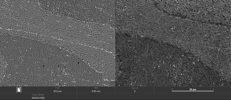 Microstructure ABD10005 scaled sNwR8a