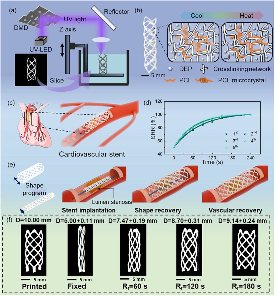 Low-Temperature 3D Printed Shape-Memory Stents Activated at Body Temperature3DPrint.com | Additive Manufacturing Business 2 adfm74021 fig 0001 m 952x1024 h5vZfp