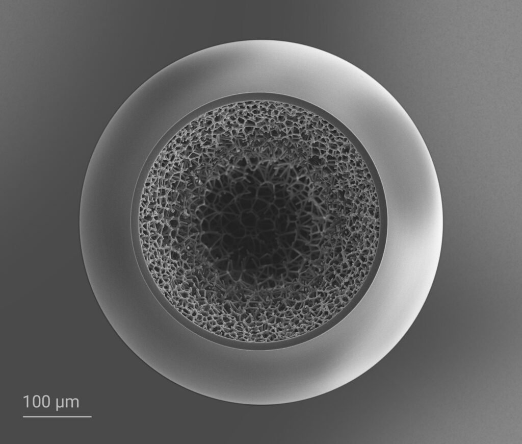 laser fusion targets 2gl grayscale lithography 3D printed target polymer structure mediapool 1024x870
