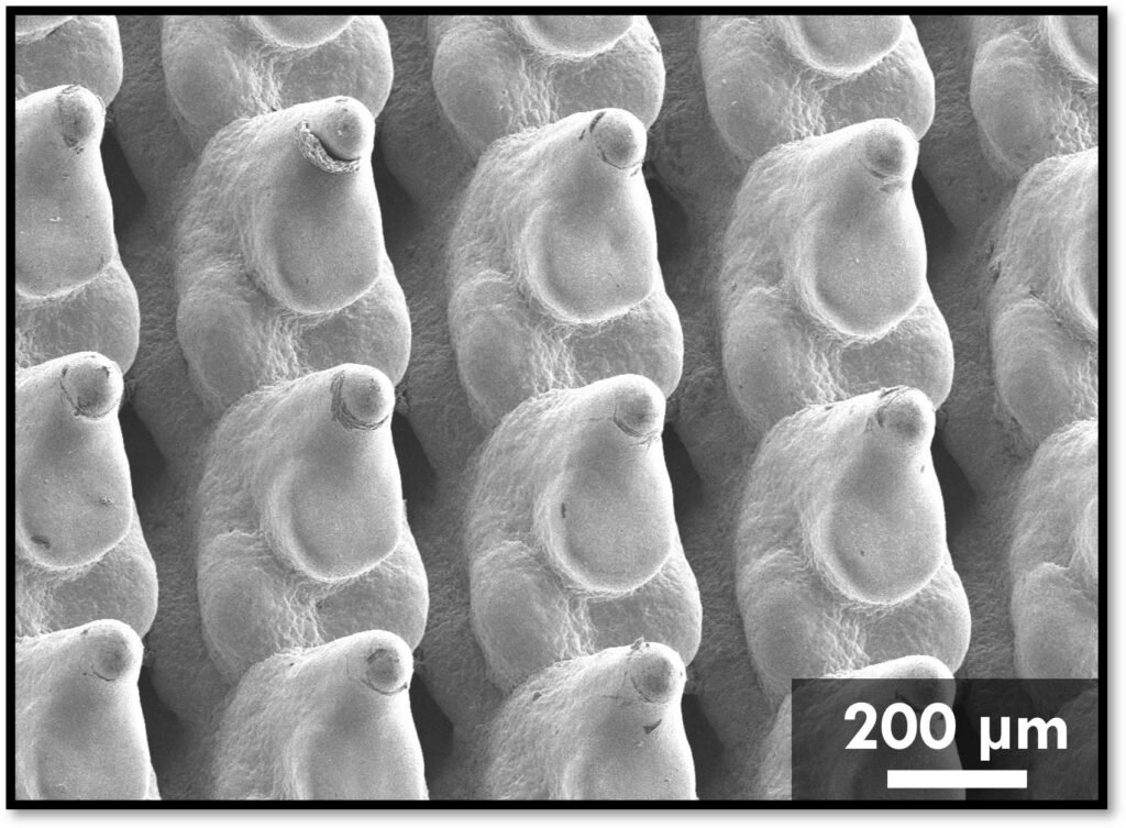 Copper cold plates close up CREDIT Cell Reports Physical Science Bazmi et al 1024x753 0McQnT