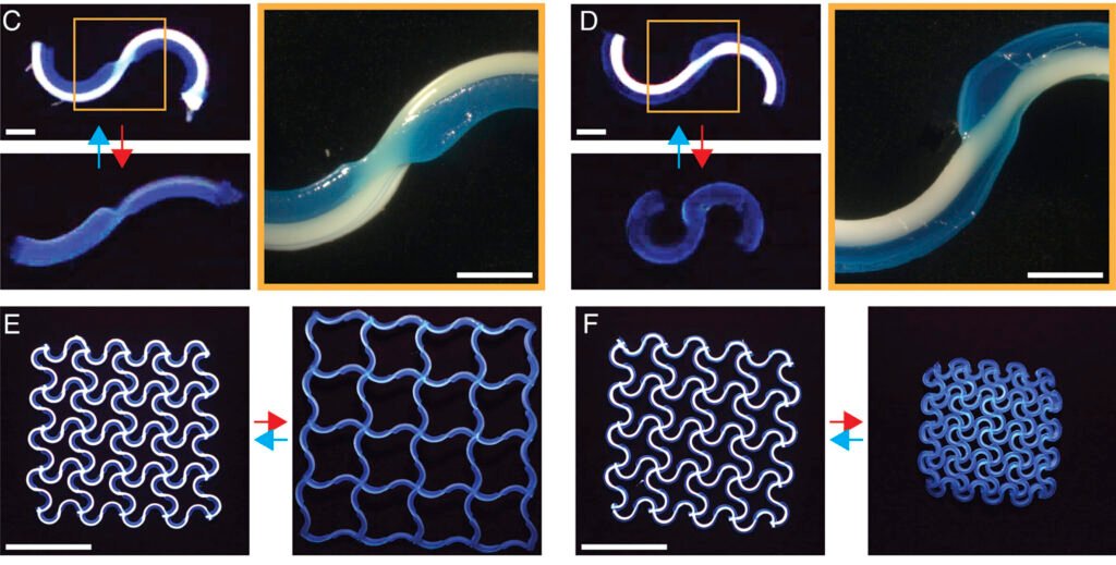pnas.2537250123fig03 scaled e1778008698846 9HnatV