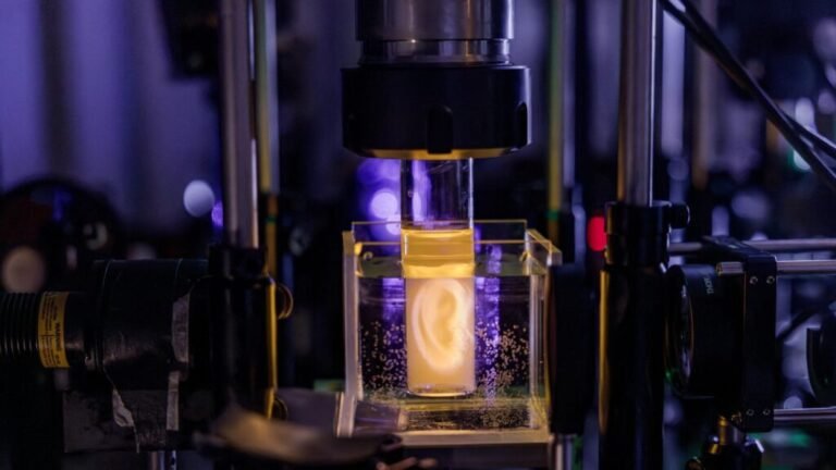 3D Printing News Briefs, June 20, 2026: Holograms, Insoles, & Prosthetics3DPrint.com | Additive Manufacturing Business 28 Volumetric EPFL 1024x576 wVwfhp
